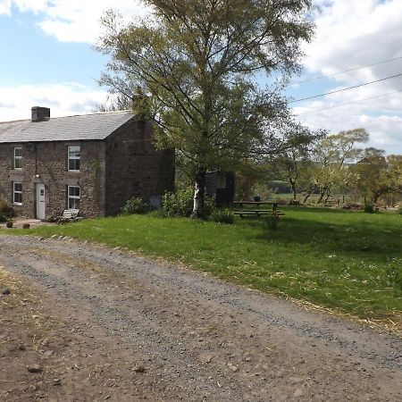 Hillis Close Farm Cottage Haltwhistle Exteriör bild