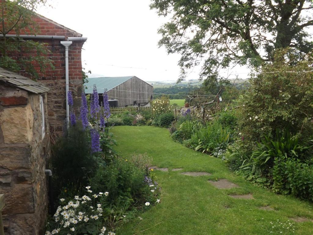 Hillis Close Farm Cottage Haltwhistle Exteriör bild