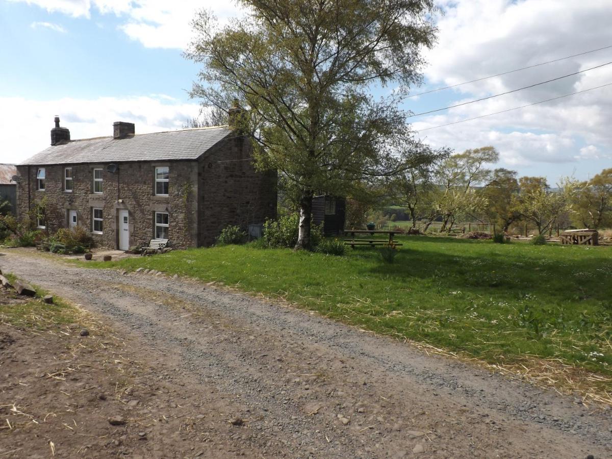 Hillis Close Farm Cottage Haltwhistle Exteriör bild