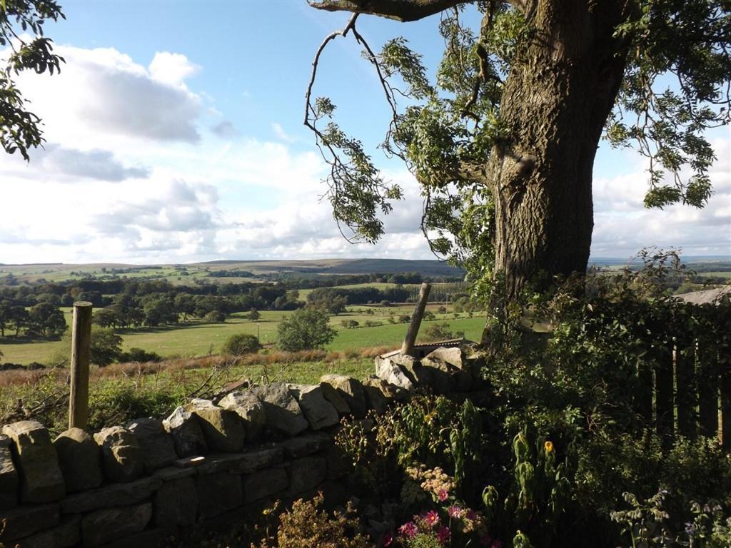 Hillis Close Farm Cottage Haltwhistle Exteriör bild