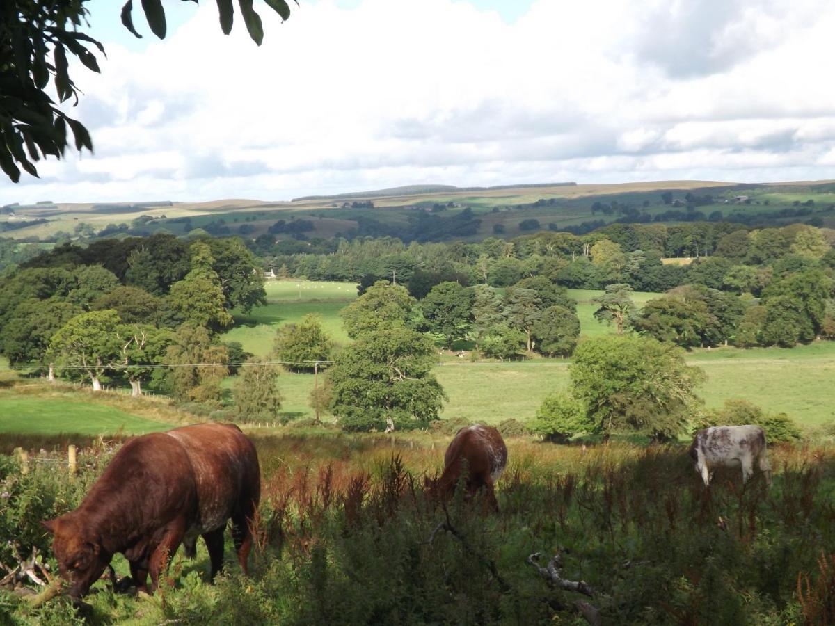 Hillis Close Farm Cottage Haltwhistle Exteriör bild